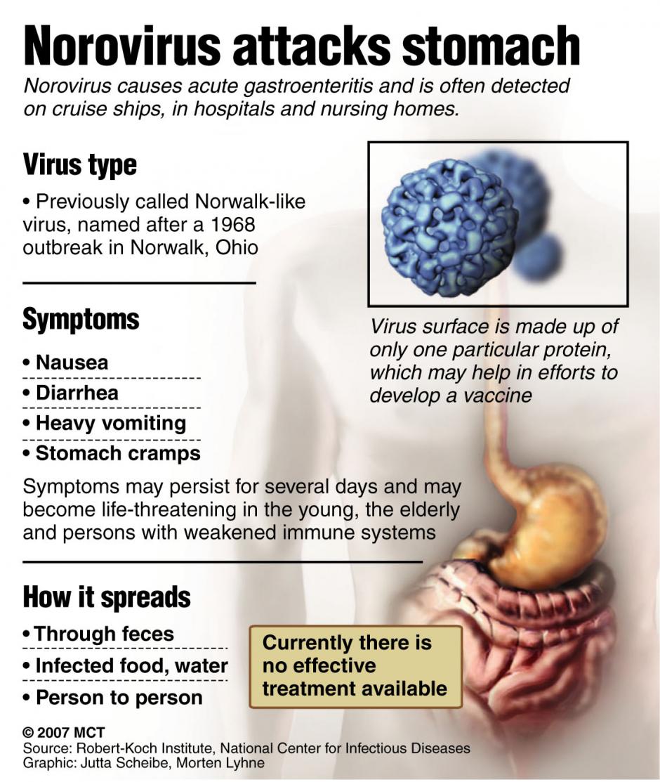 Norovirus Disinfection and control